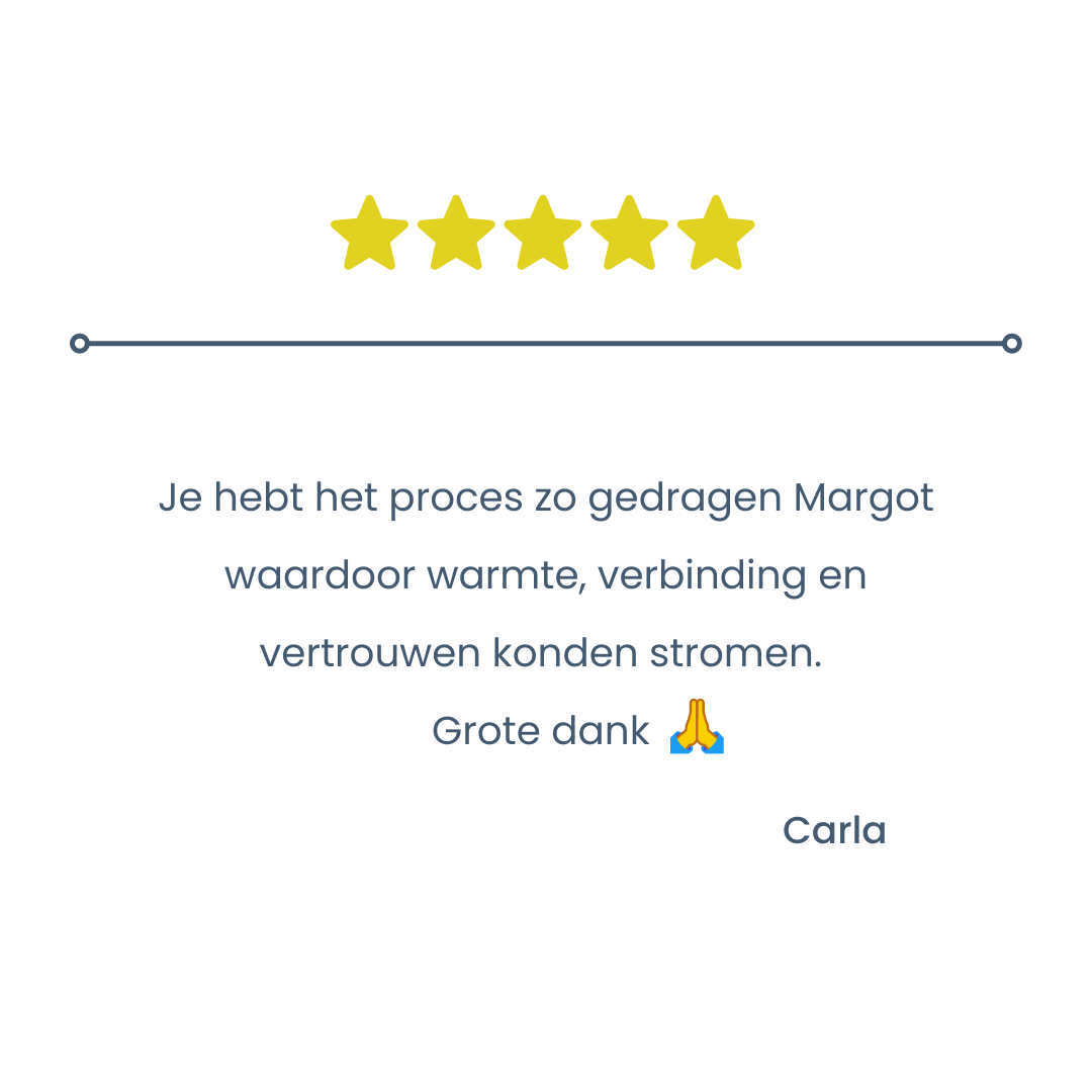 Margot Morrenhof Familieopstellingen voor ondernemers review 