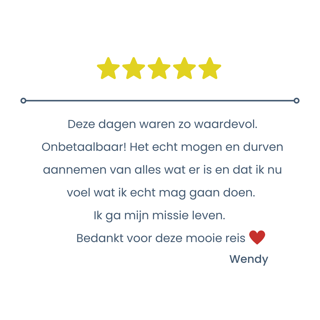 Margot Morrenhof Familieopstellingen voor ondernemers review 