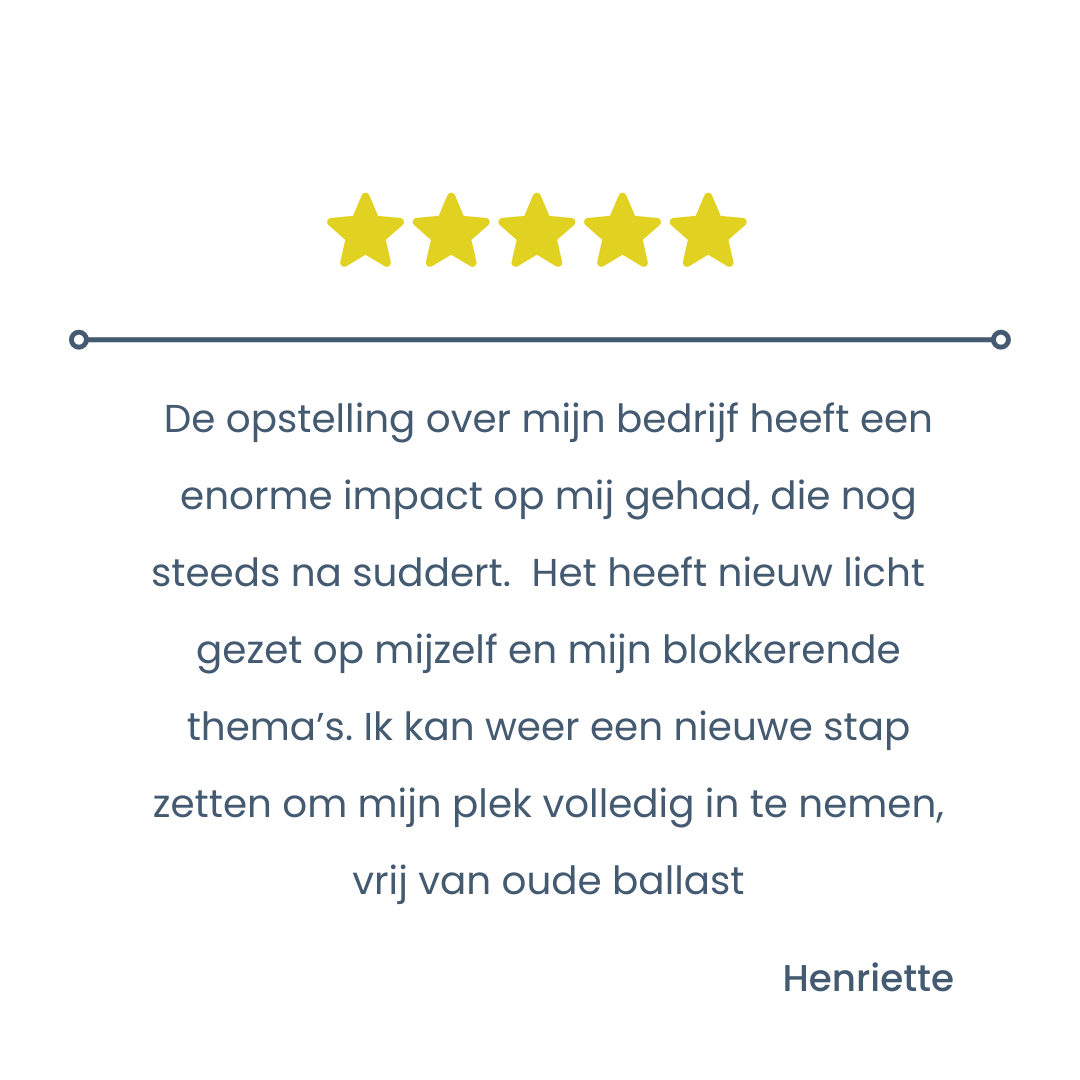 Review Opstellingen voor ondernemers - Margot Morrenhof