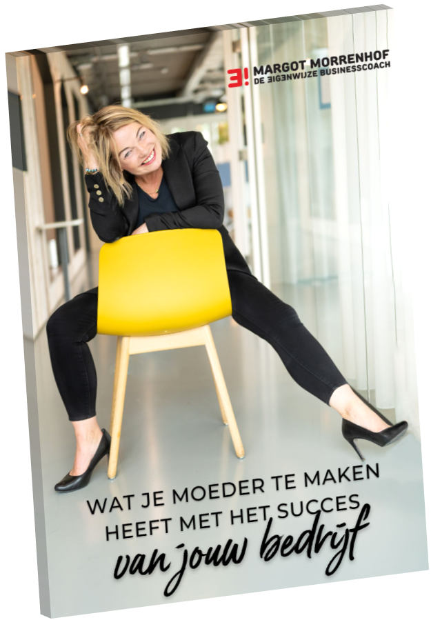 Systemisch Businesscoach, familie opstellingen